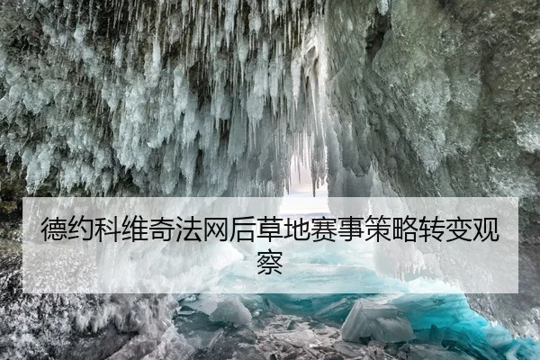德约科维奇法网后草地赛事策略转变观察