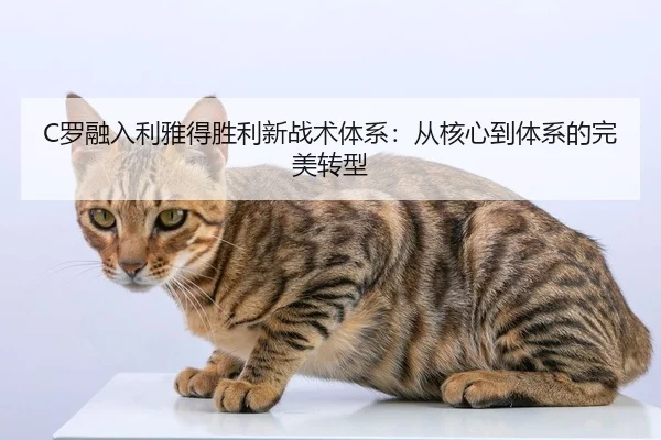 luo-rong-ru-li-ya-de-sheng-li-xin-zhan-shu-ti-xi-cong-he-xin-dao-ti-xi-de-wan-mei-zhuan-xing-2-718.jpg
